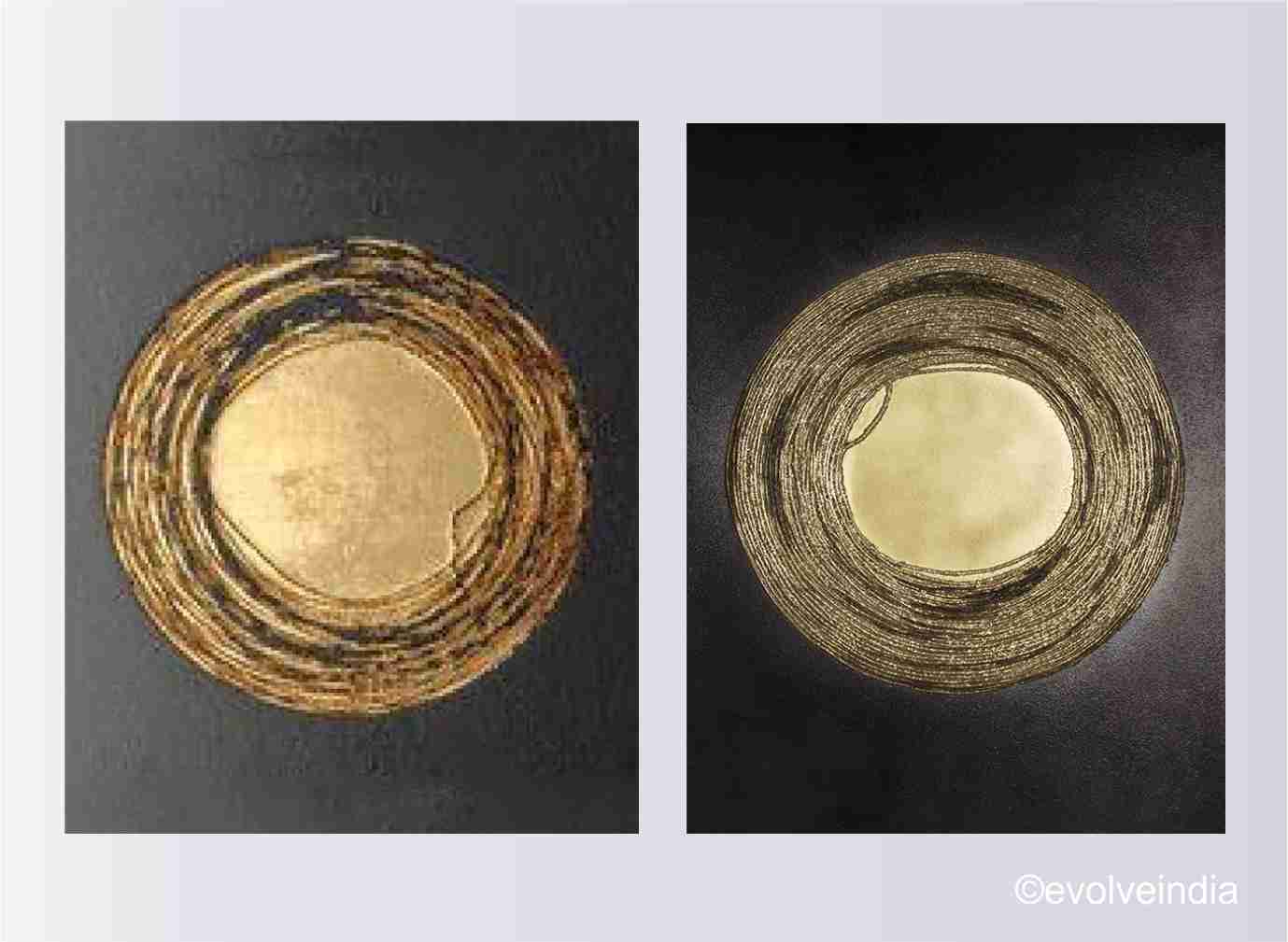 Brass Finished Customised Wall Art
