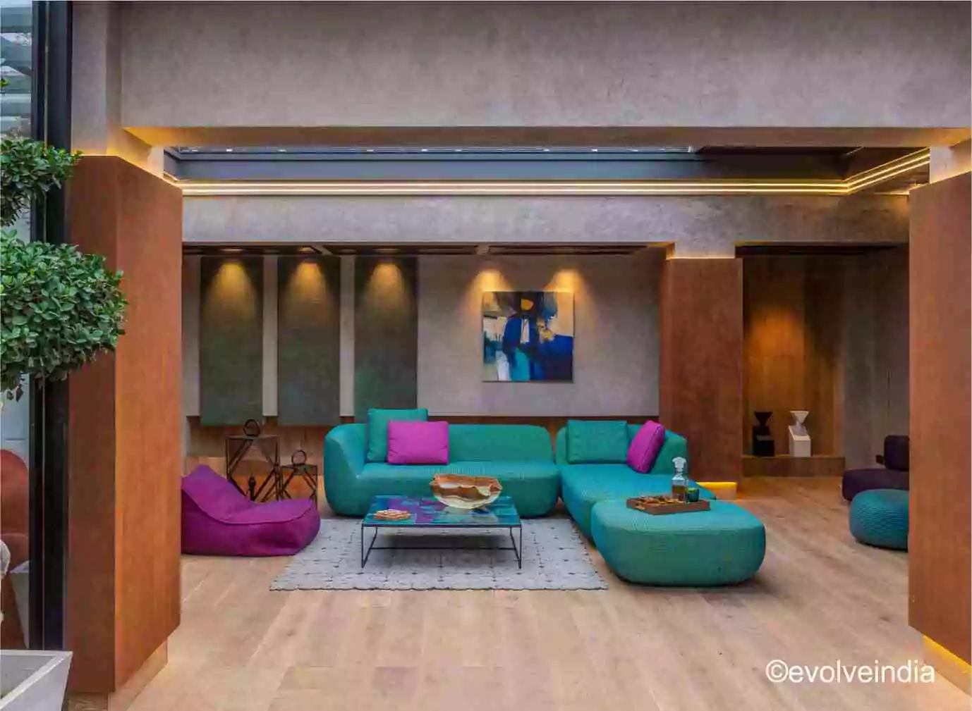 Residence project in Delhi done by Evolve India