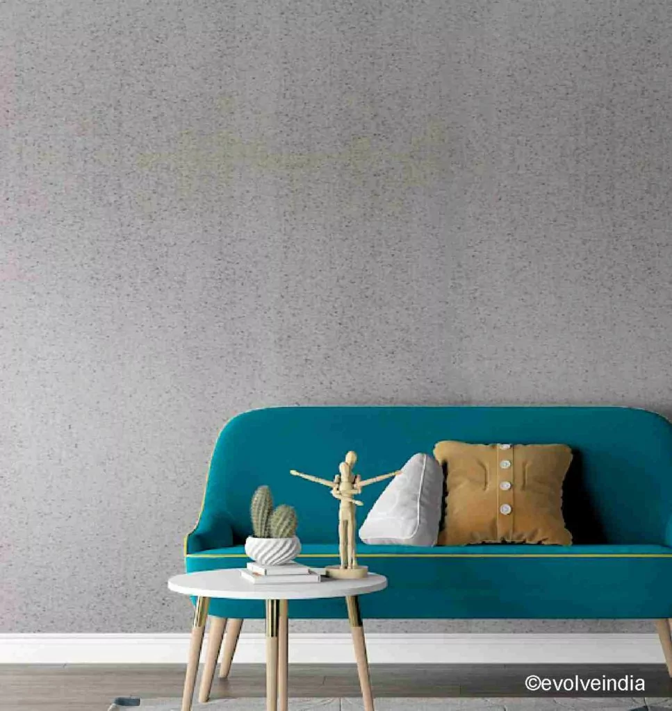 Living room designed using decorative concrete texture finish by Evolve India