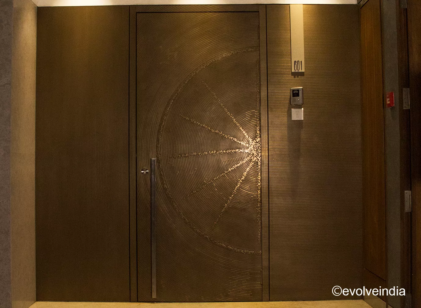 Door Designs By Evolve India Entrance door designed with sunray bronze by Evolve India