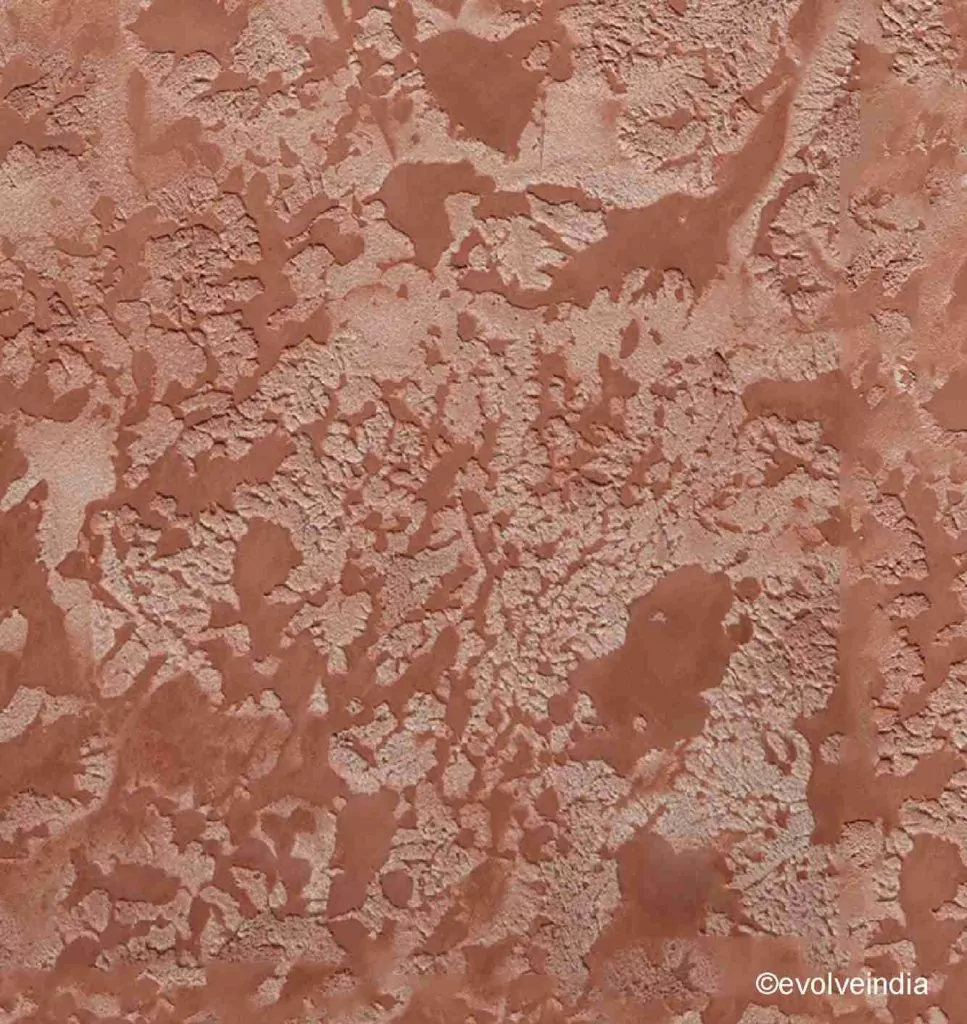 Decorative concrete texture finish by Evolve India