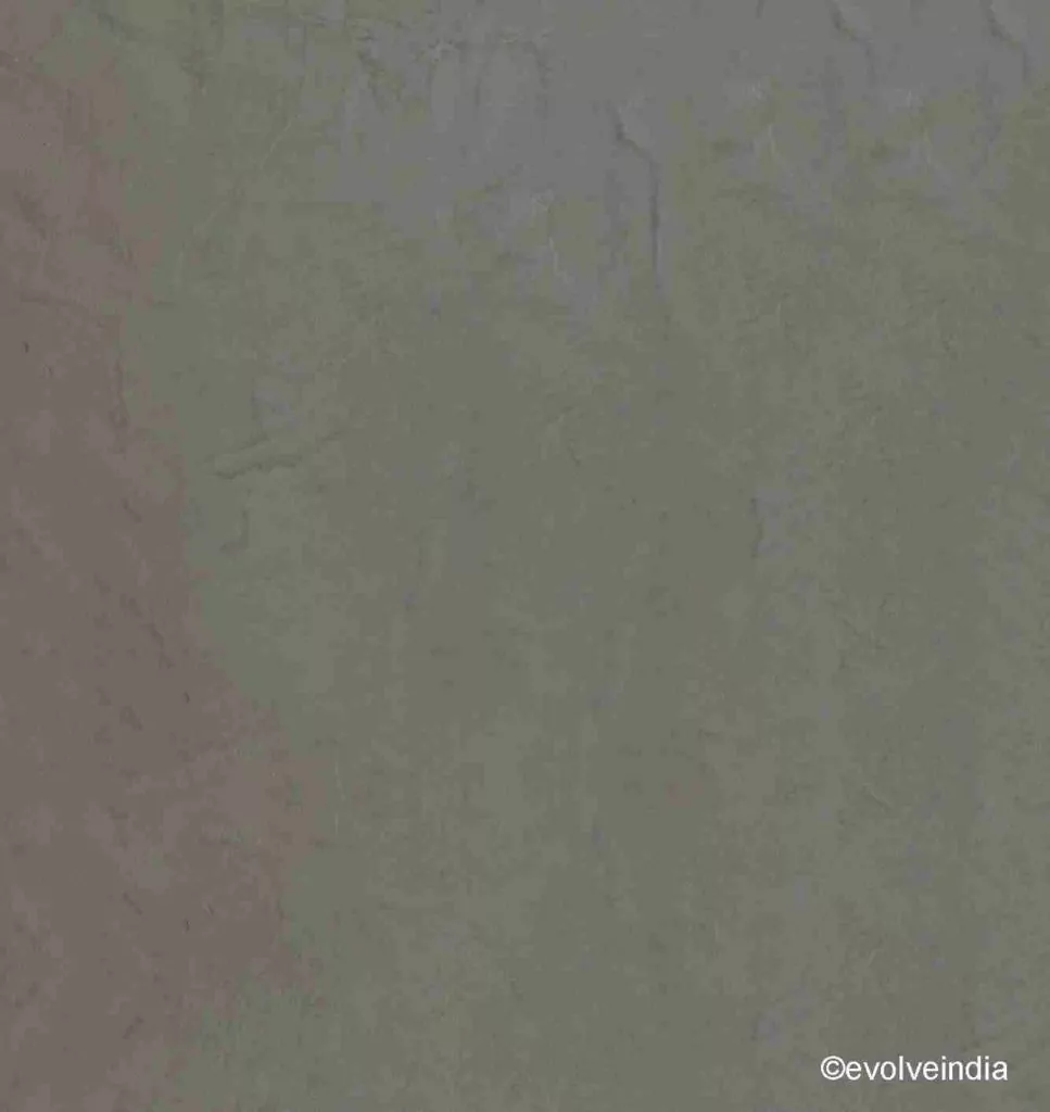 Decorative concrete texture finish by Evolve India