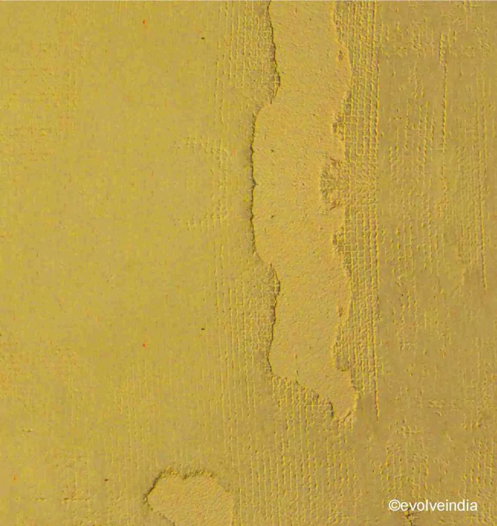 Decorative concrete texture finish by Evolve India