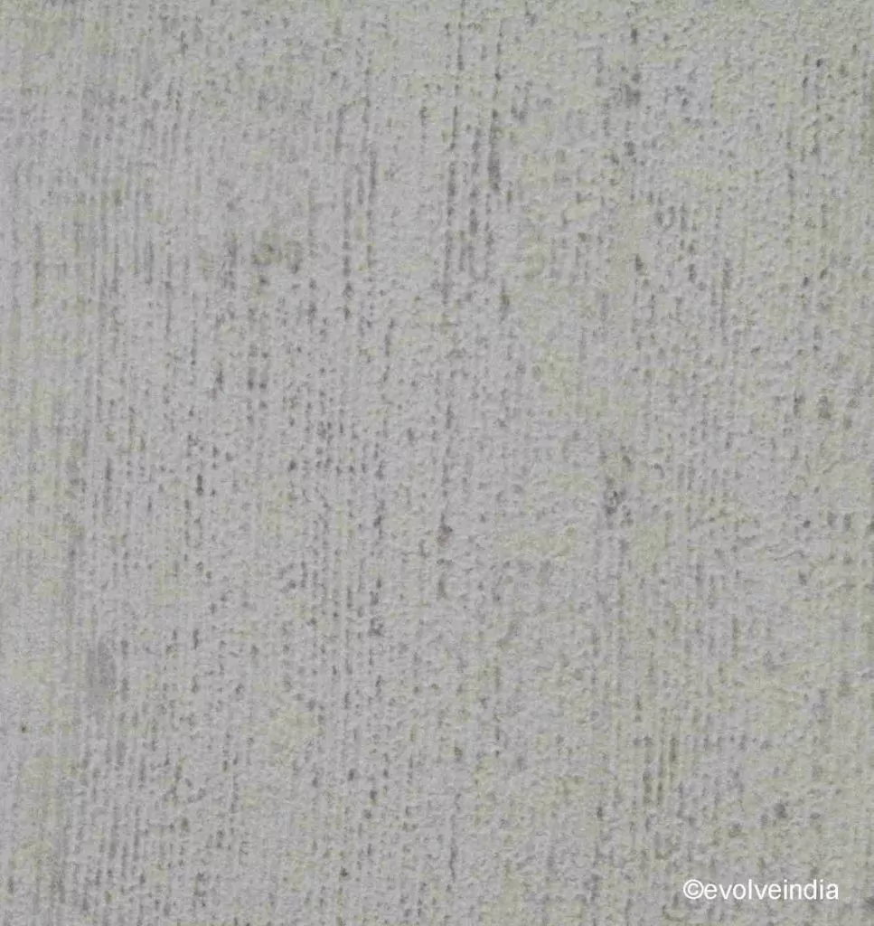 Decorative concrete texture finish by Evolve India