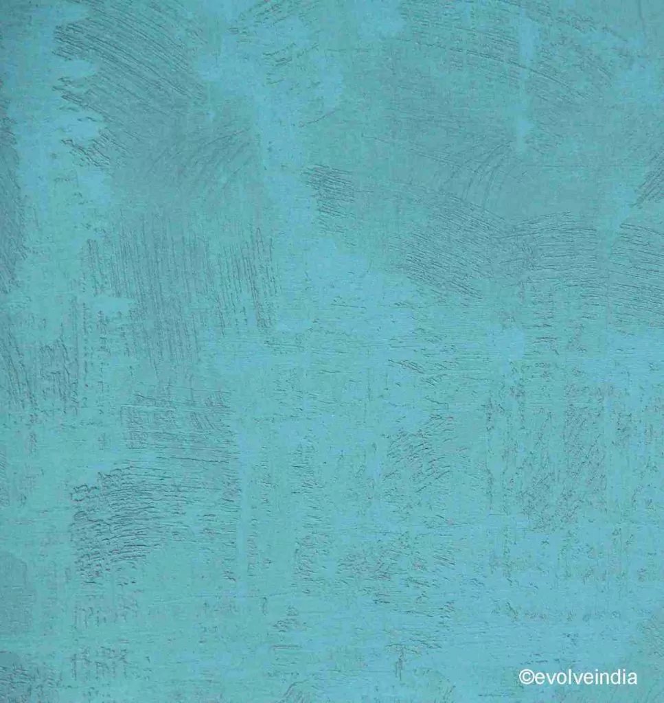 Decorative concrete texture finish by Evolve India