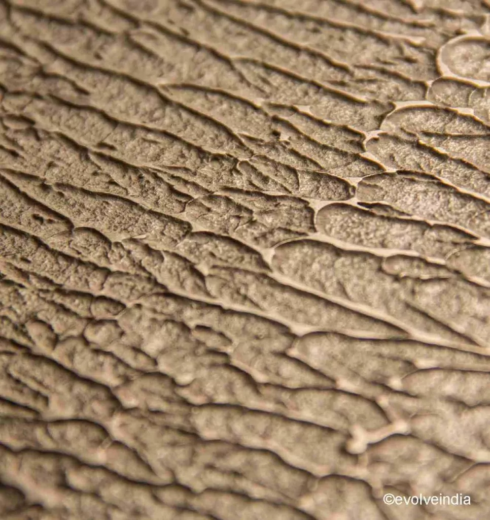 Opal texture finish