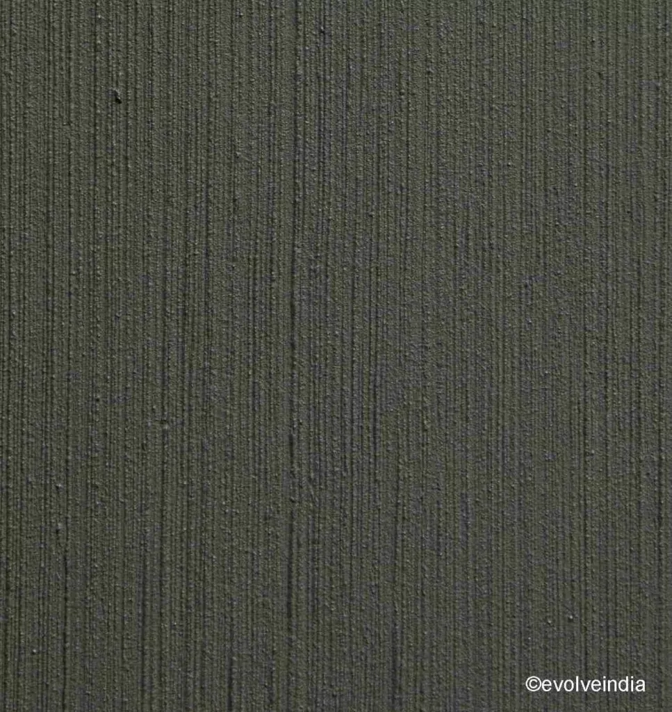 Decorative concrete texture finish by Evolve India