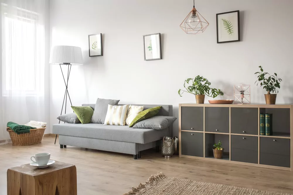 Minimalist Home Decor Ideas by Evolve India