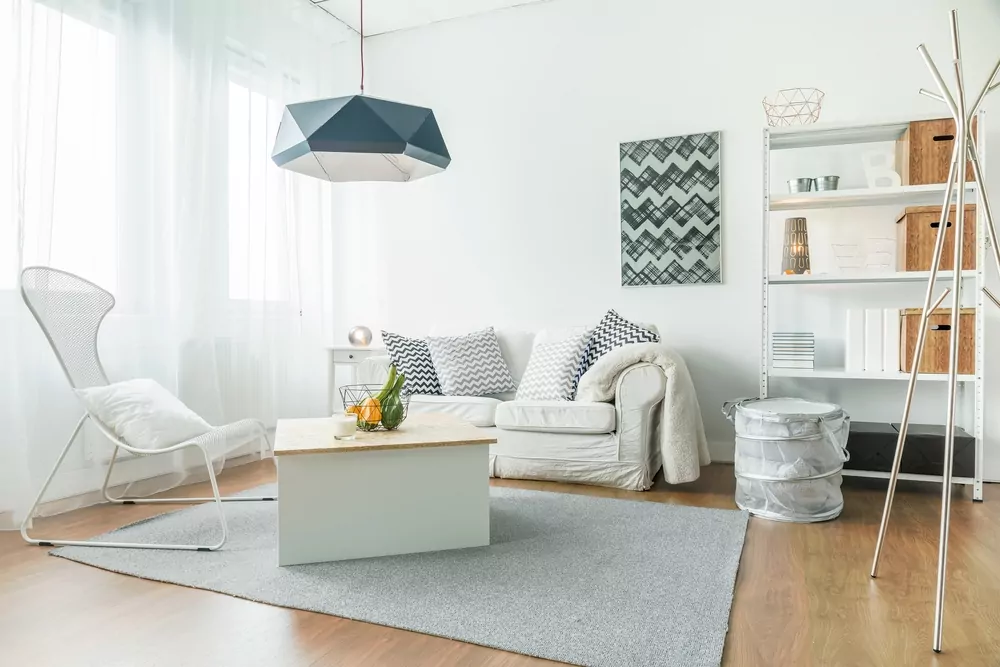 Minimalist Home Decor Ideas by Evolve India