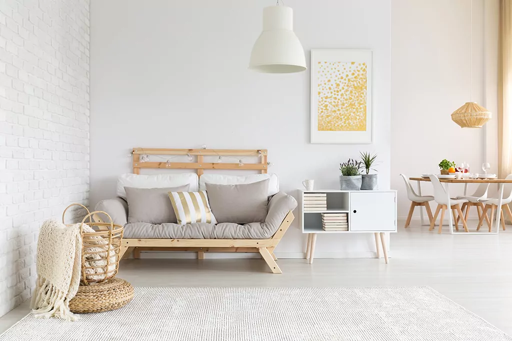 Minimalist Home Decor Ideas by Evolve India