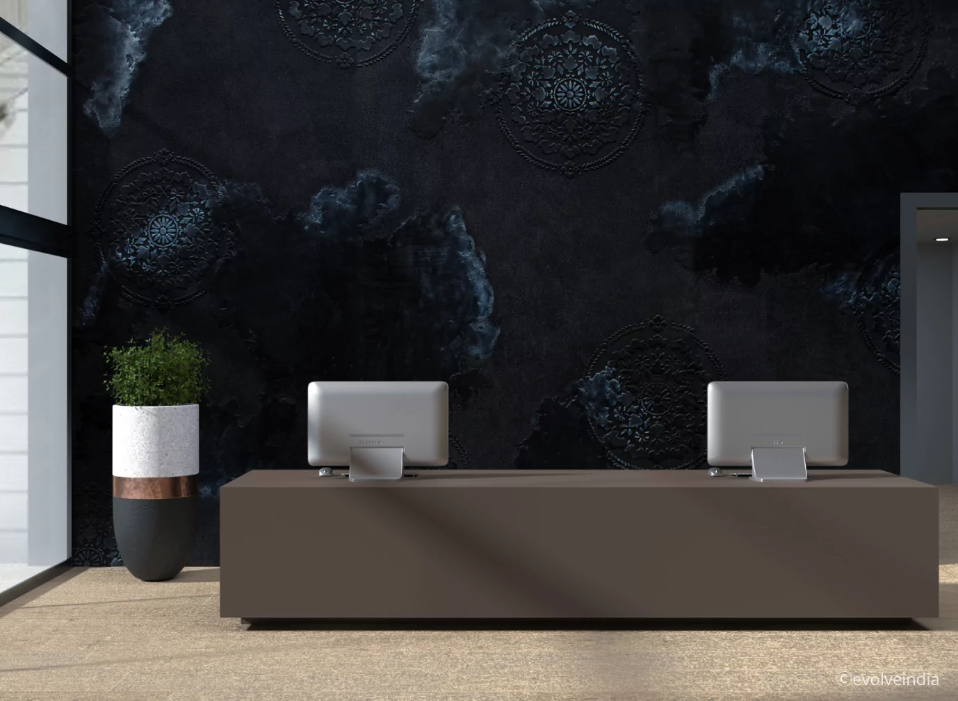 Designer Wall Finishes _ Evolve India